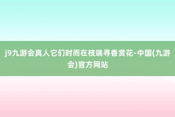 j9九游会真人它们时而在枝端寻香赏花-中国(九游会)官方网站