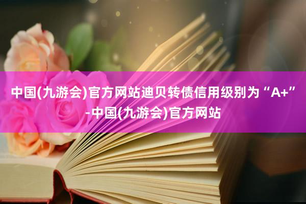 中国(九游会)官方网站迪贝转债信用级别为“A+”-中国(九游会)官方网站