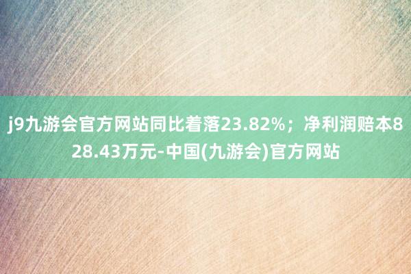 j9九游会官方网站同比着落23.82%；净利润赔本828.43万元-中国(九游会)官方网站