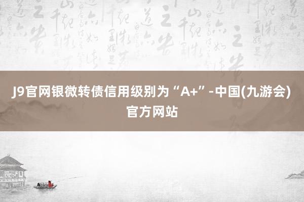 J9官网银微转债信用级别为“A+”-中国(九游会)官方网站