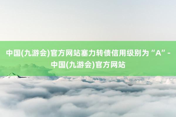 中国(九游会)官方网站塞力转债信用级别为“A”-中国(九游会)官方网站